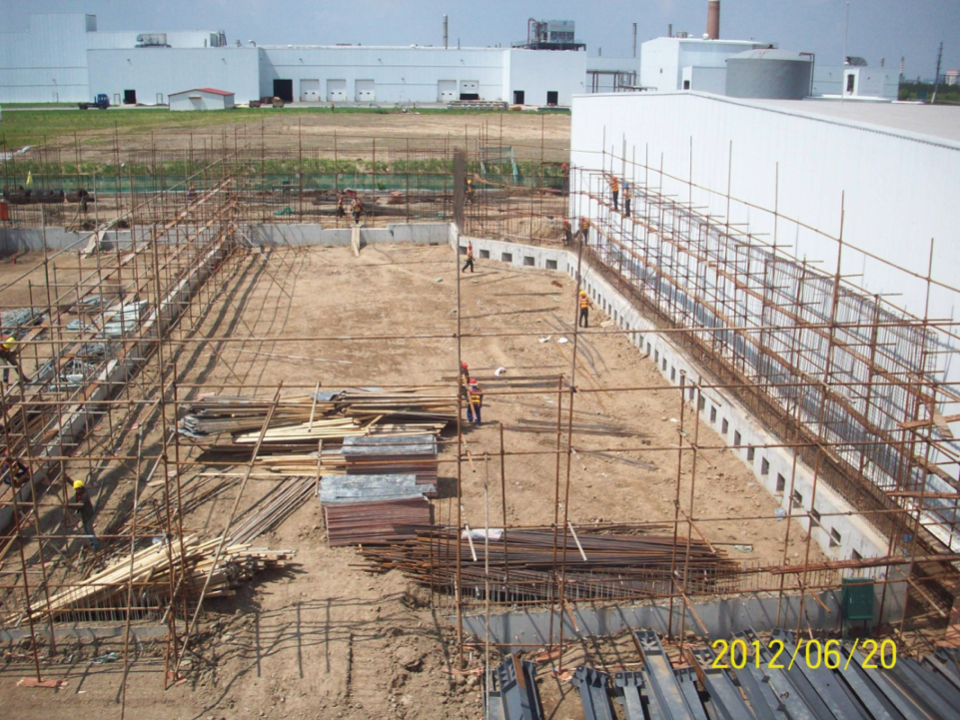 Bin 9 scaffold and layout